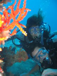 Students Taken in St. Lucia on Wreck called Lesleen "M" by Marcus Joseph 